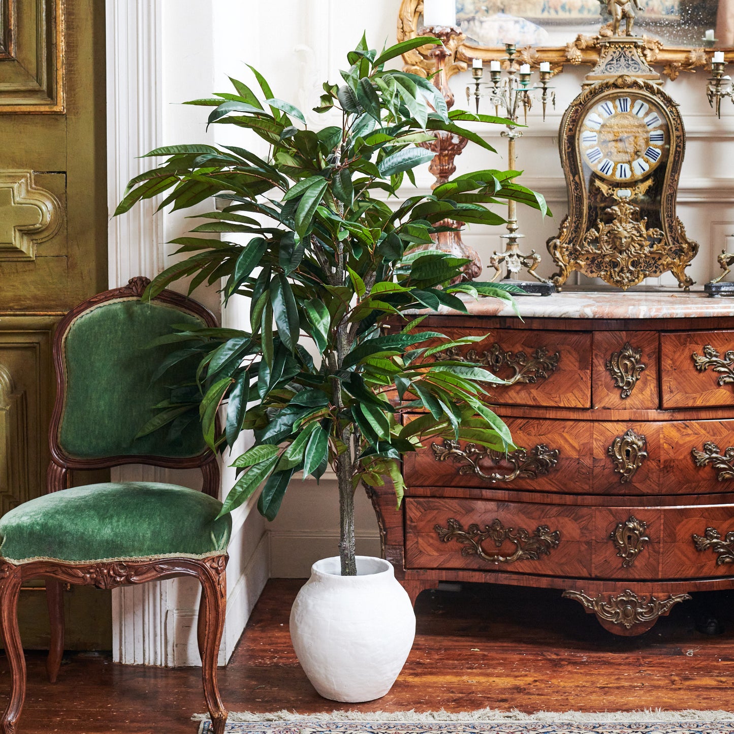 Lincoln Ficus Tree with Ceramic Pot