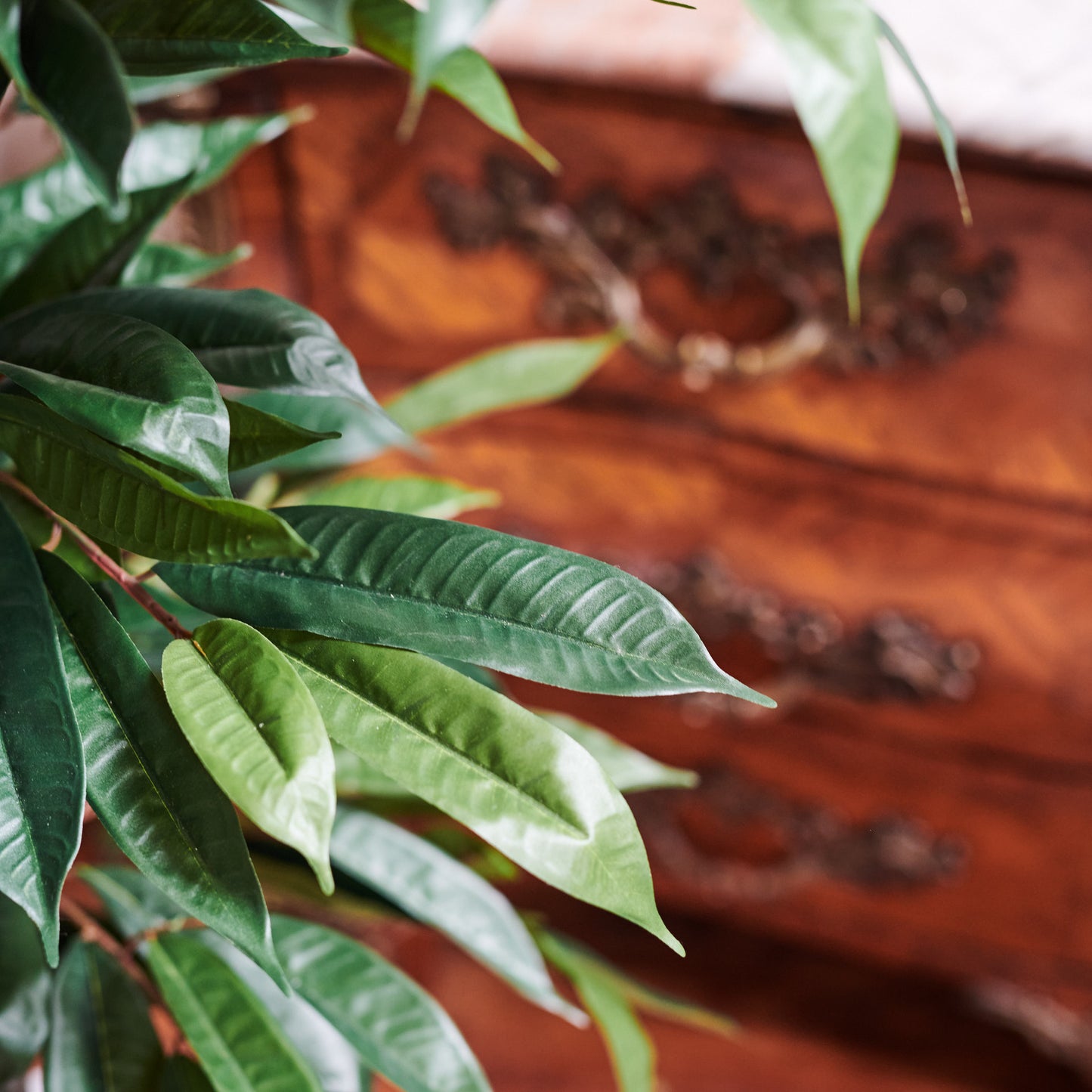 Lincoln Ficus Tree with Ceramic Pot