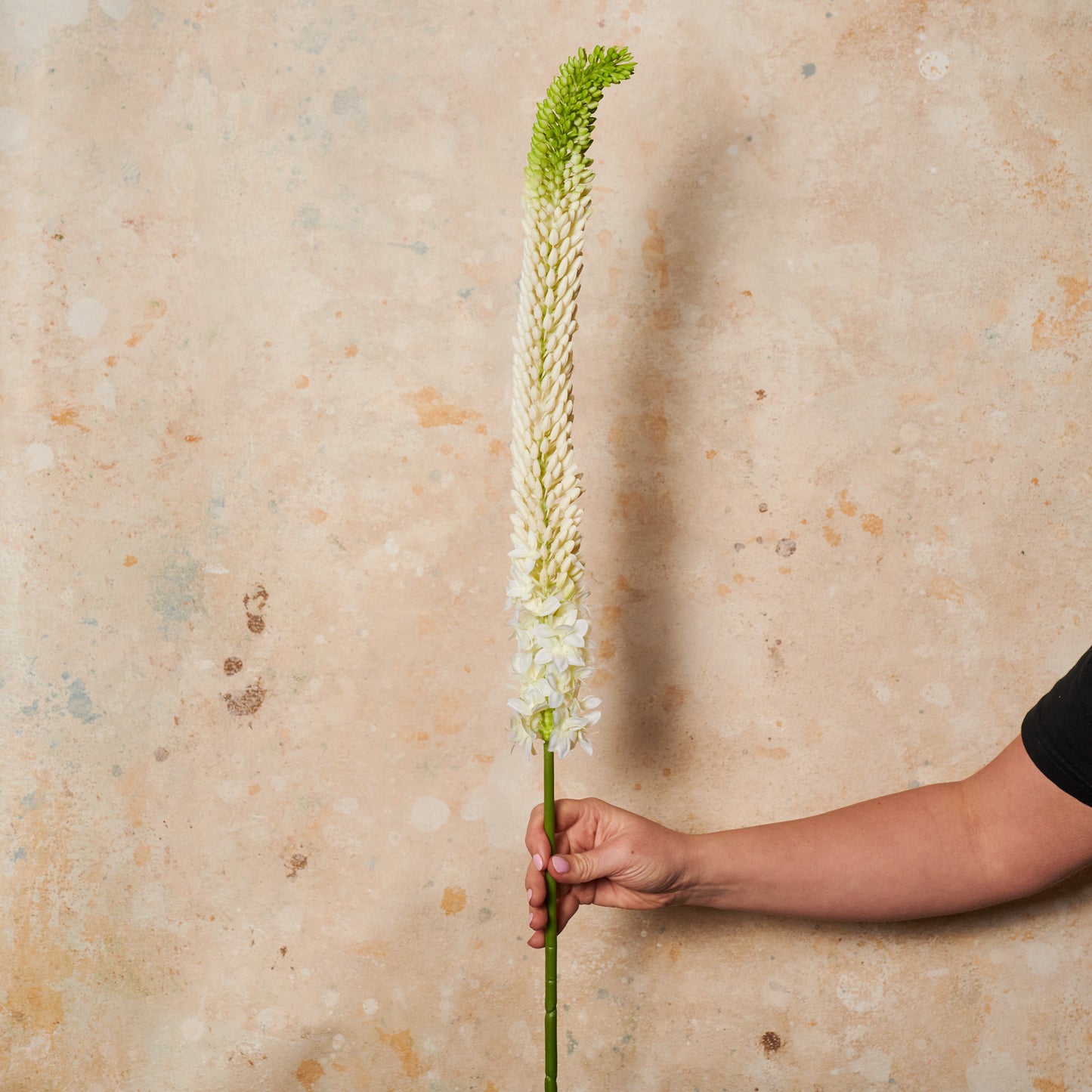Foxtail Lily Real Touch Flower Stem