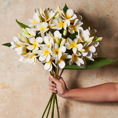 Frangipani Real Touch Flower Stem