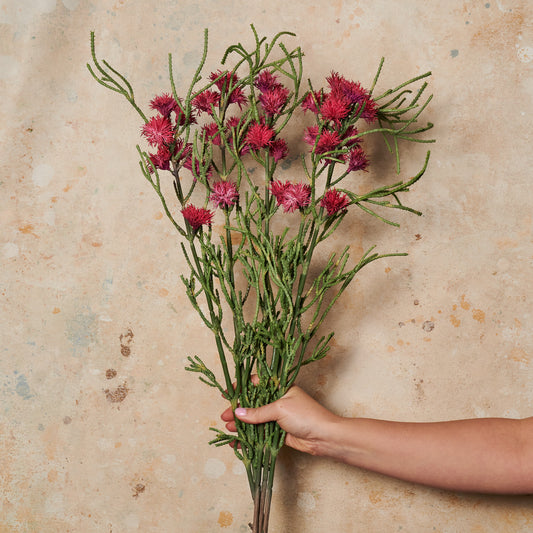 Grevillea Spray Long Real Touch Flower Stem