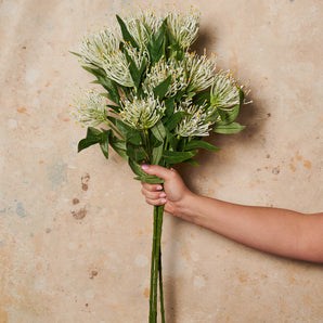Grevillea Spray Real Touch Flower Stem