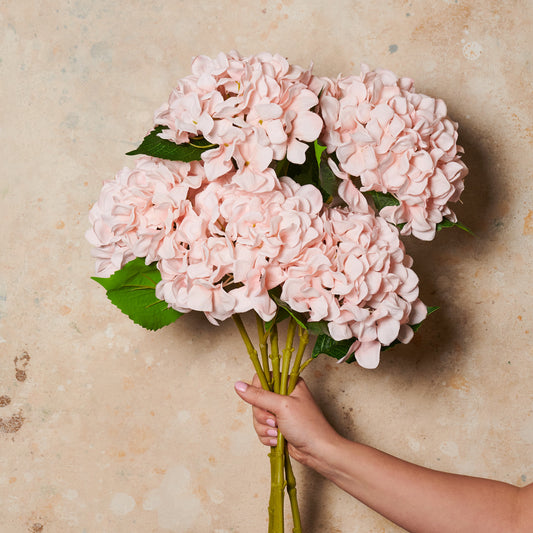 Hydrangea Flower Stem