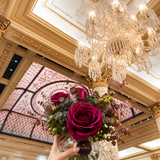 Plaza Hotel
