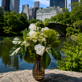 Central Park