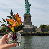Liberty