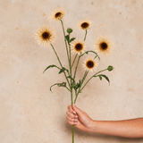 Daisy Real Touch Flower Stem