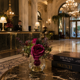 Plaza Hotel