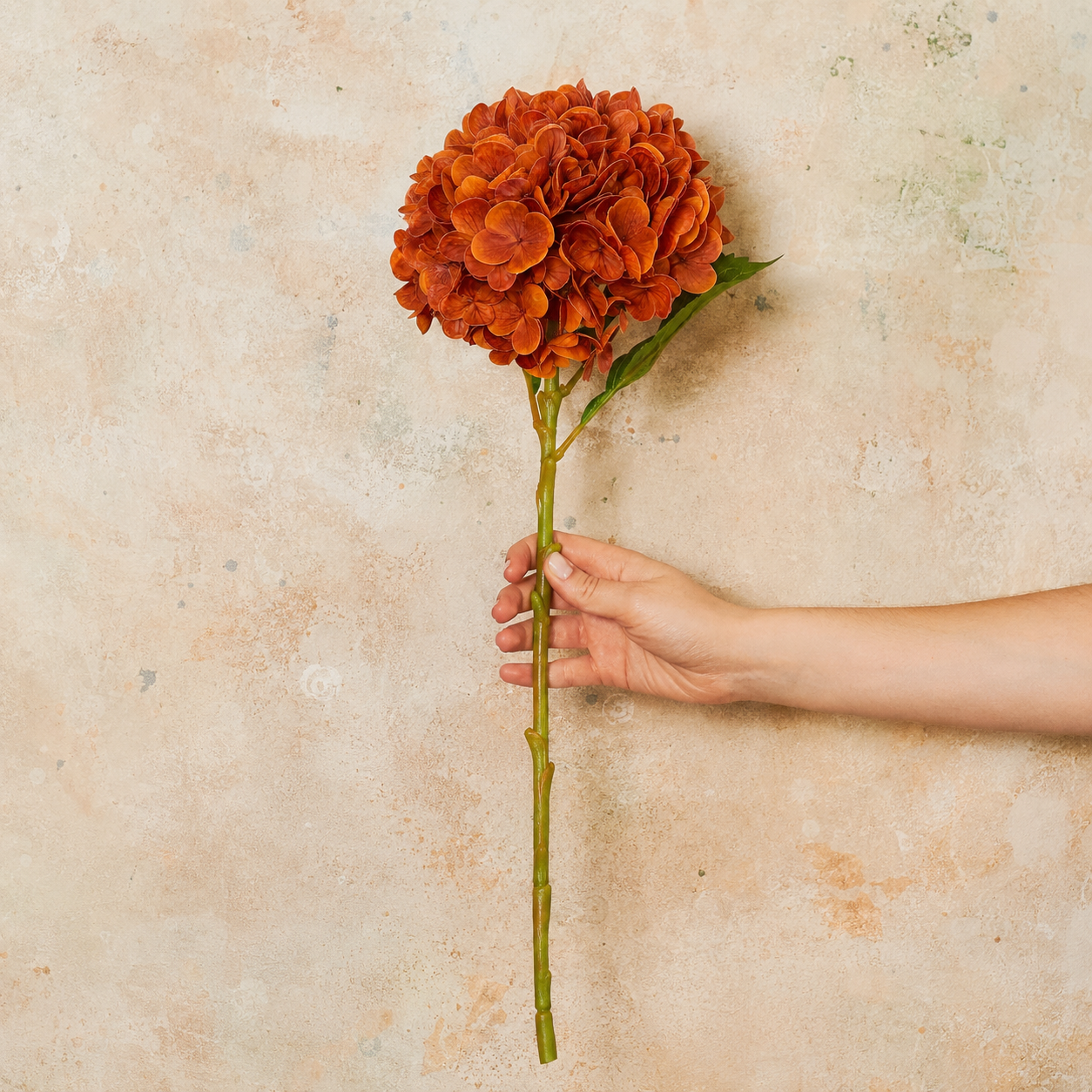 Hydrangea Real Touch Flower Stem Premium