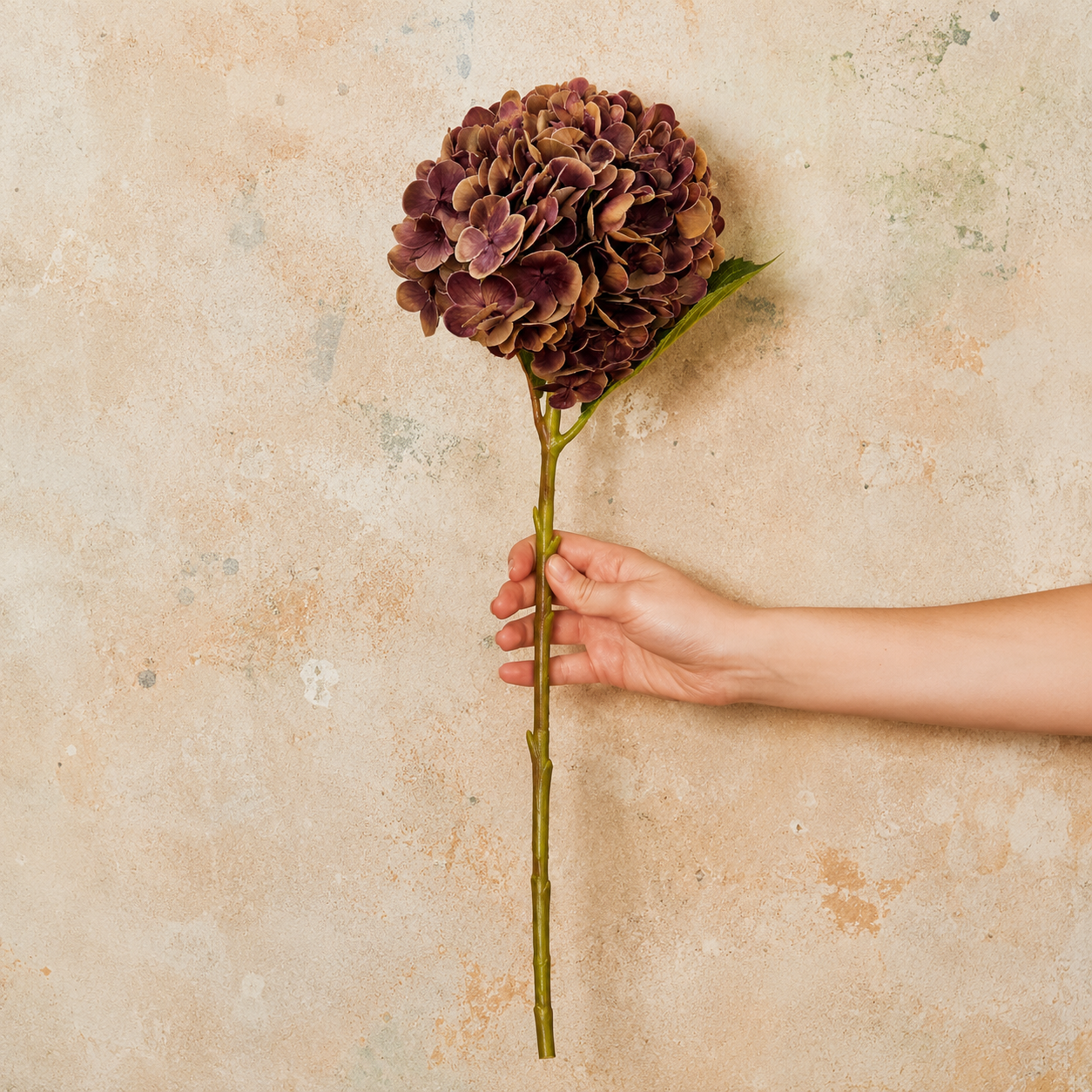 Hydrangea Real Touch Flower Stem Premium