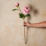 Peony Rose Real Touch Flower Stem