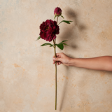 Peony Rose Real Touch Flower Stem