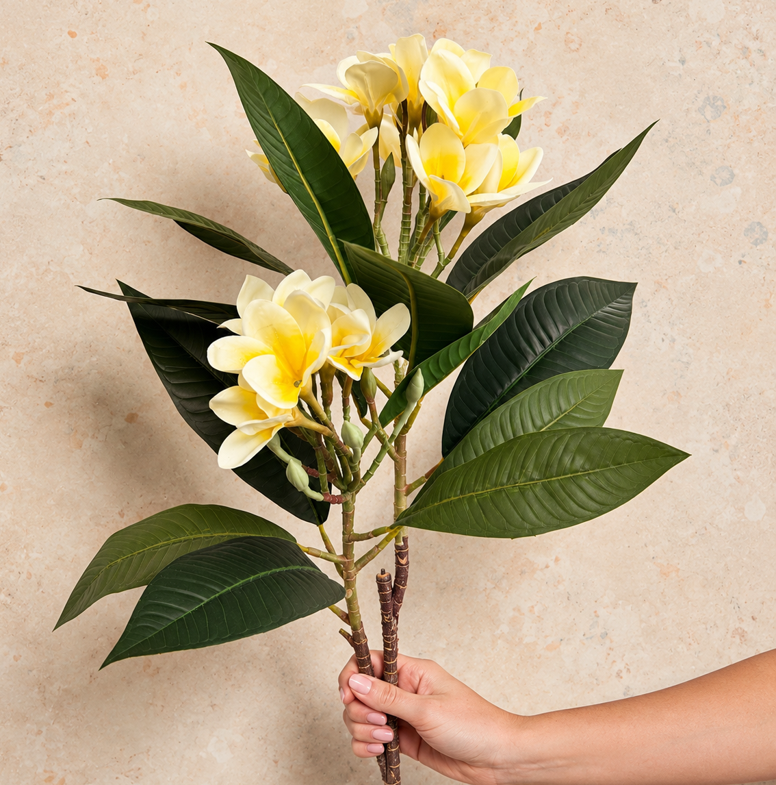 Frangipani Real Touch Flower Stem