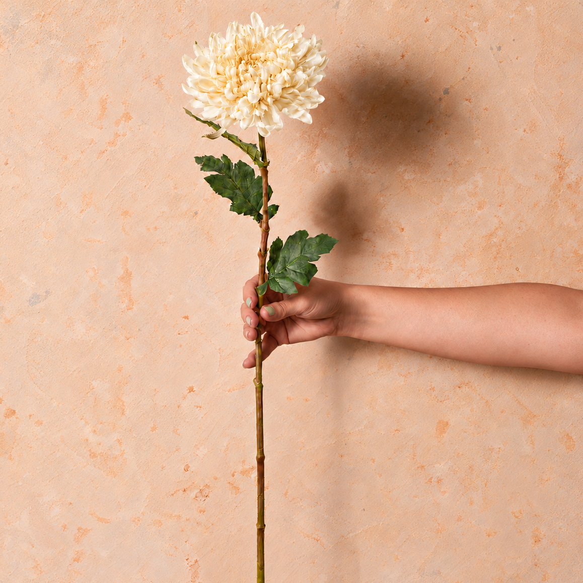 Chrysanthemum Real Touch Flower Stem