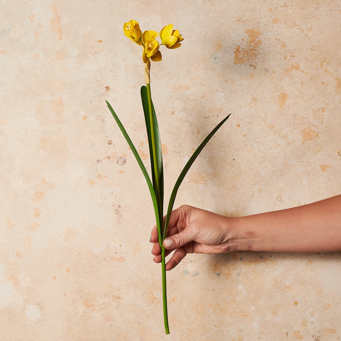 Jonquil Daffodil Spray Real Touch Flower Stem