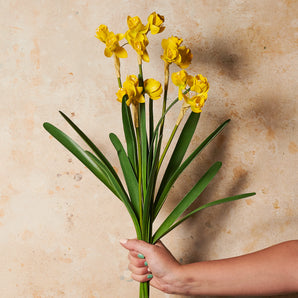 Jonquil Daffodil Spray Real Touch Flower Stem