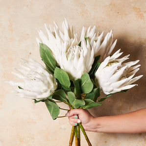 King Protea Real Touch Flower Stem