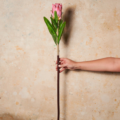 Longfolia Real Touch Flower Stem