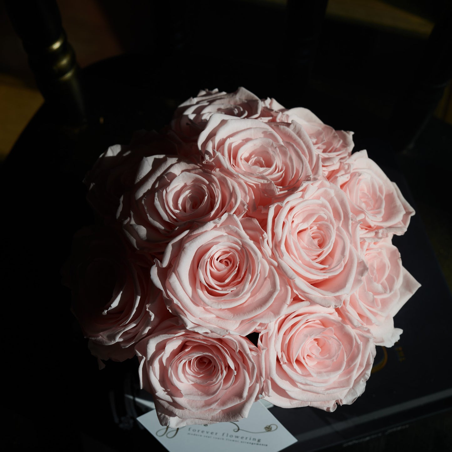 Mademoiselle (Preserved Roses)