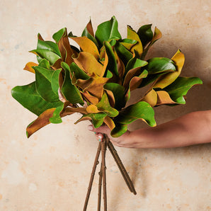 Magnolia Leaf Foliage Real Touch Leaf Stem