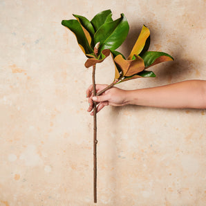 Magnolia Leaf Foliage Real Touch Leaf Stem