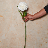 Pompon Dahlia Large Real Touch Flower Stem