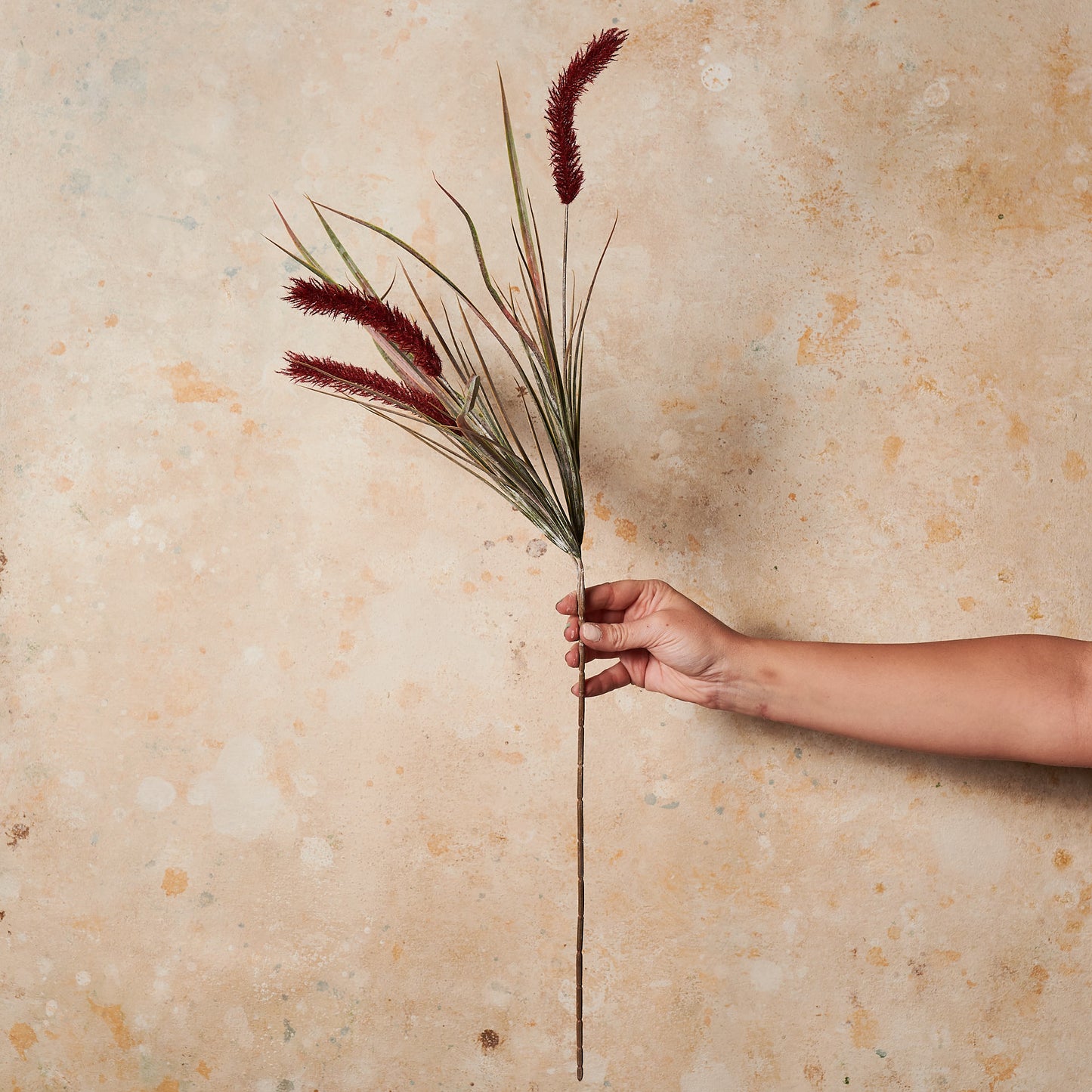 Pampas Grass Spray Burgundy Real Touch Stem