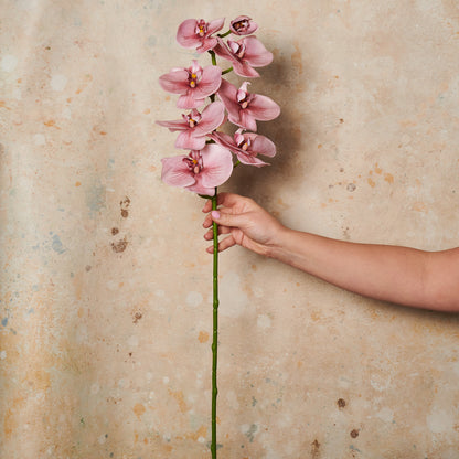 Phalaenopsis Orchid Long Real Touch Flower Stem