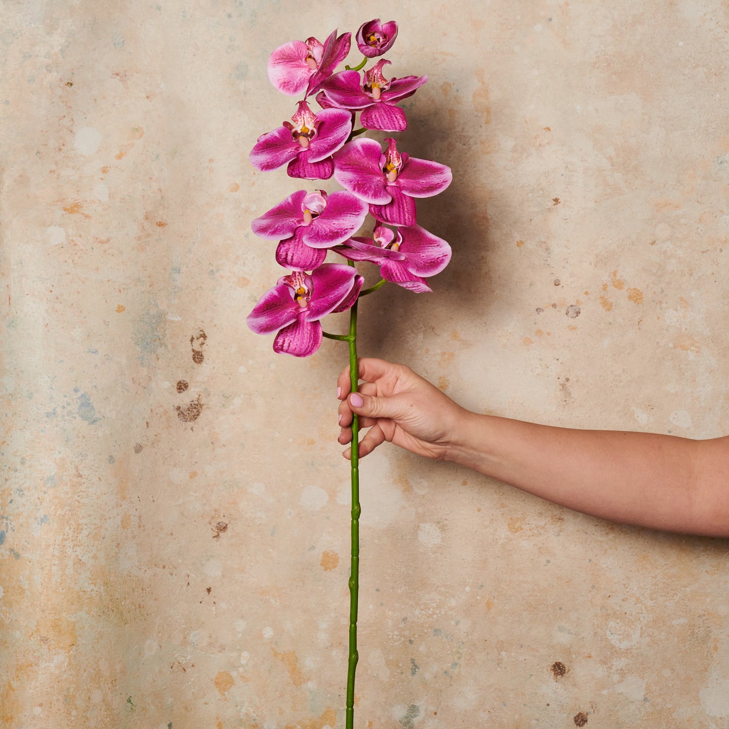 Phalaenopsis Orchid Real Touch Flower Stem