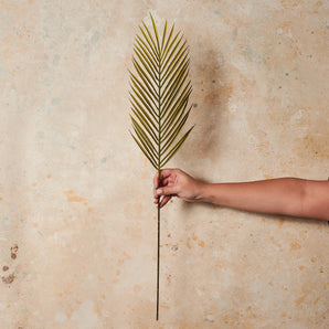 Phoenix Palm Leaf Real Touch Leaf Stem