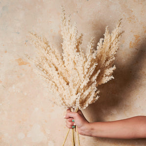 Plume Grass Cream Real Touch Stem