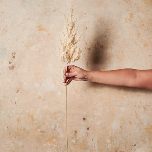 Plume Grass Cream Real Touch Stem