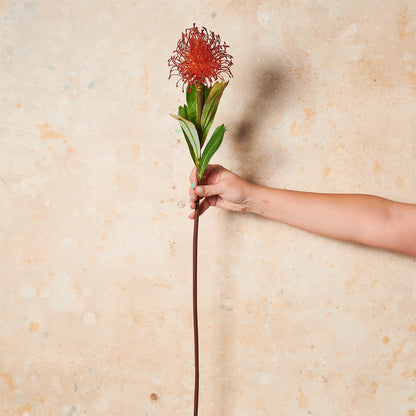 Protea Leucospermum Pin Cushion Real Touch Flower Stem