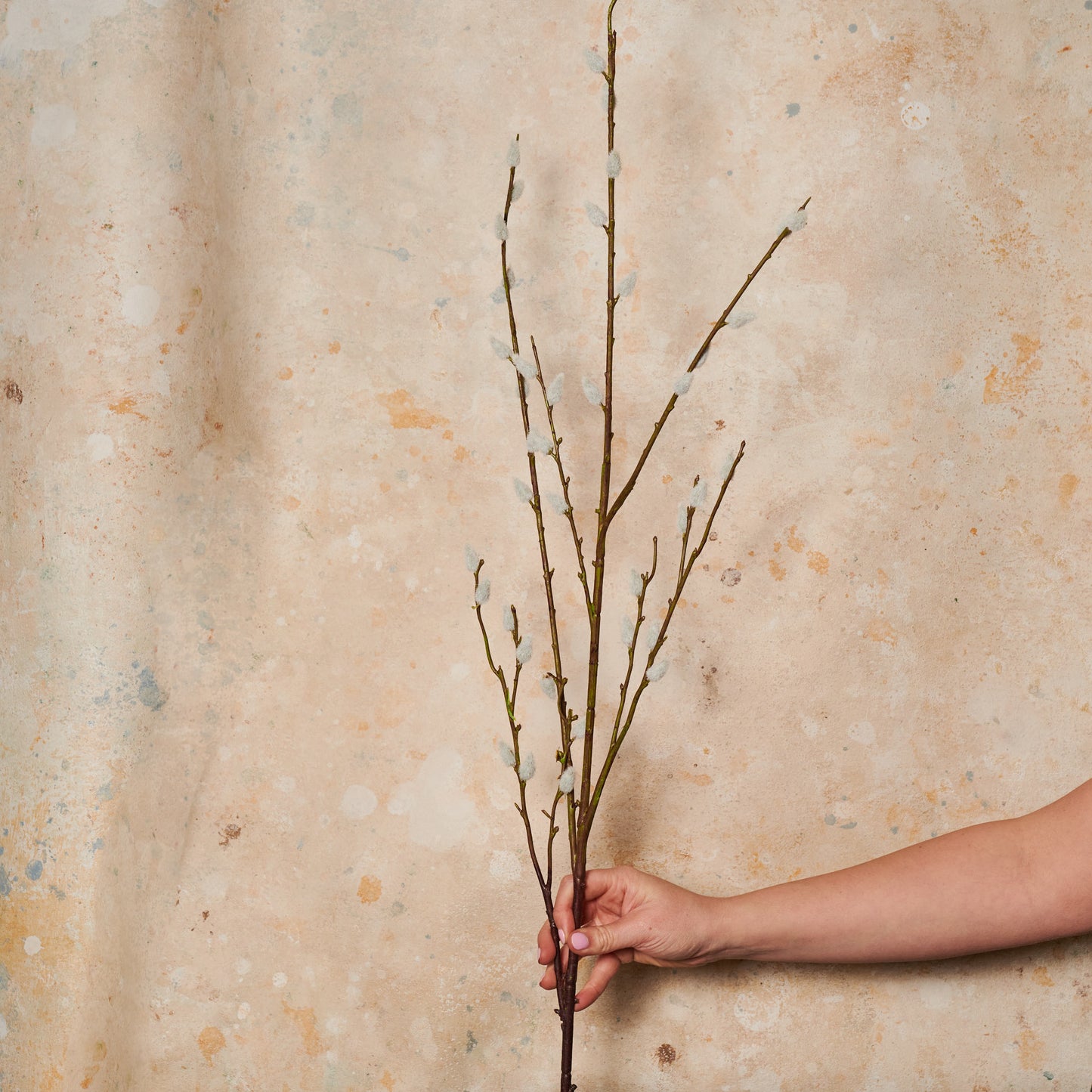 Pussywillow Branch Real Touch Stem