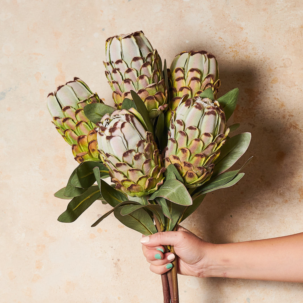 Aubrey Top Queen Protea main image 0
