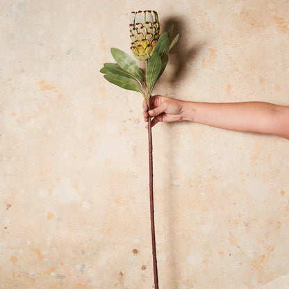 Queen Protea Real Touch Flower Stem