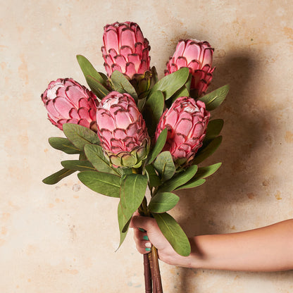 Queen Protea Real Touch Flower Stem