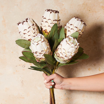 Queen Protea Real Touch Flower Stem