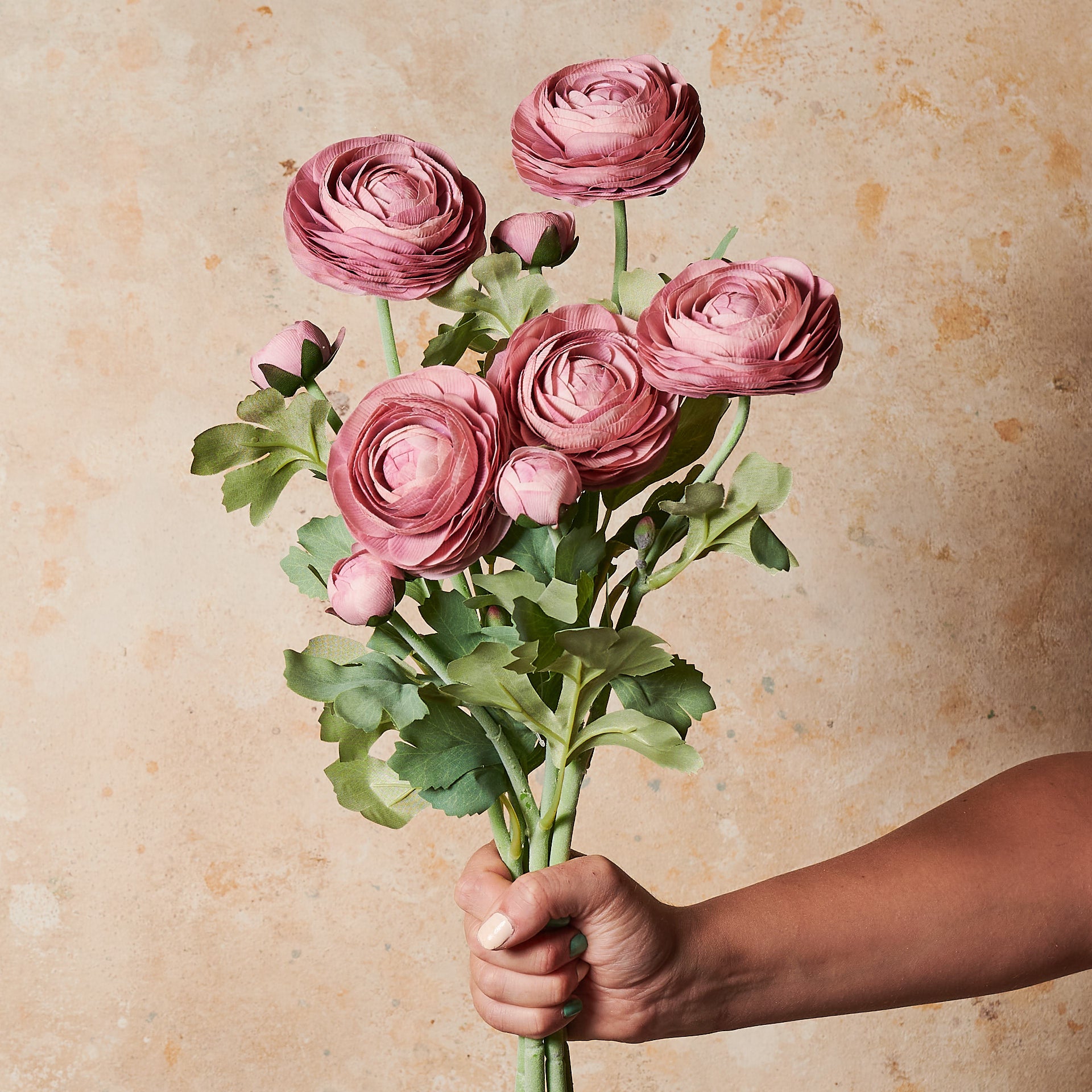 Pink Ranaculus Artificial Ranunculus Real Touch Flower Stem