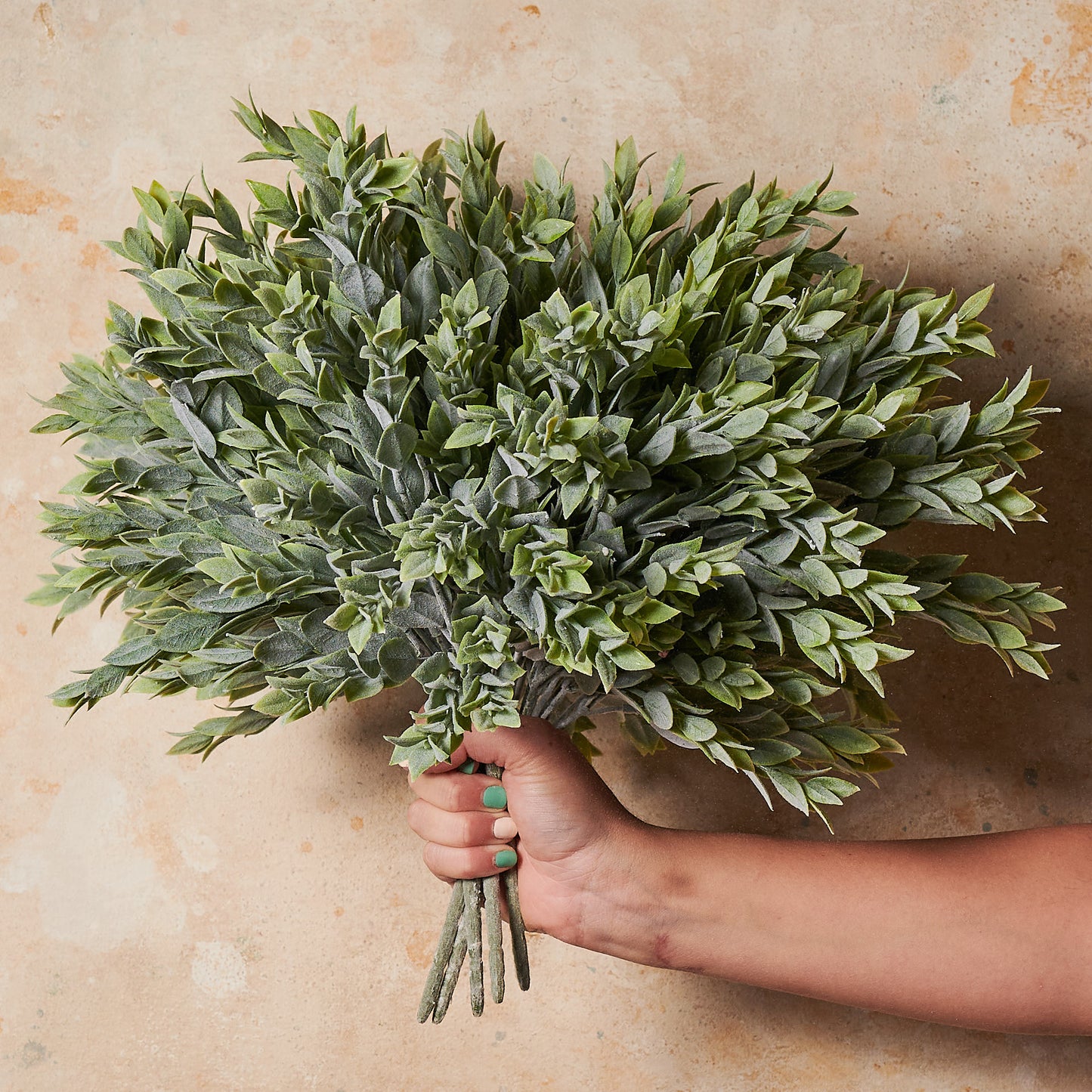 Ruscus Bush Green Grey Real Touch