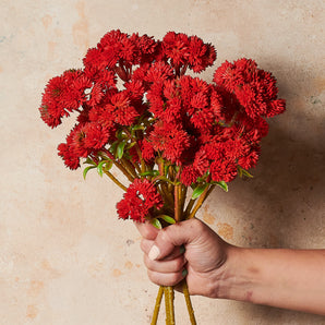 Sedum Spray Real Touch Flower Stem