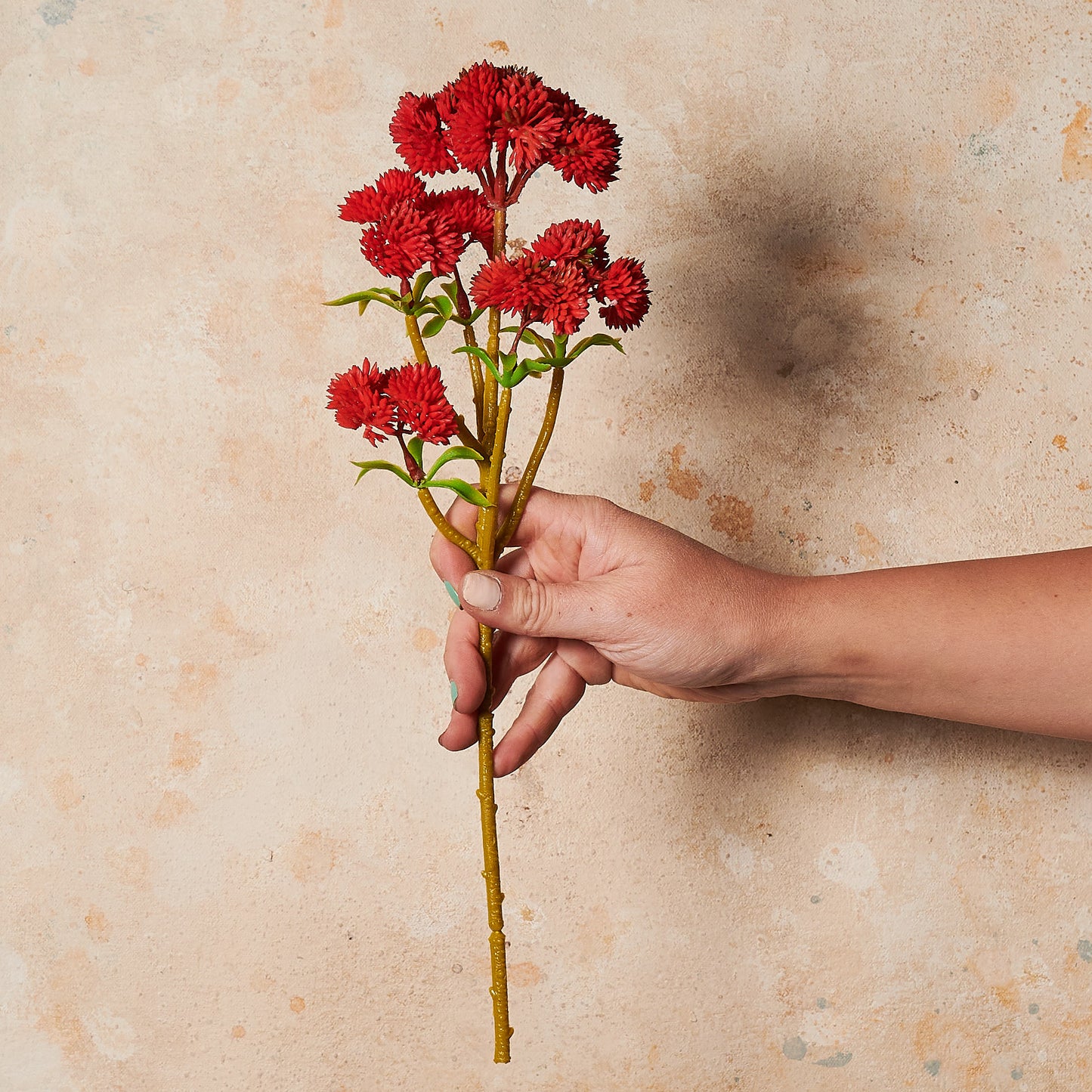 Sedum Spray Red Real Touch Flower Stem