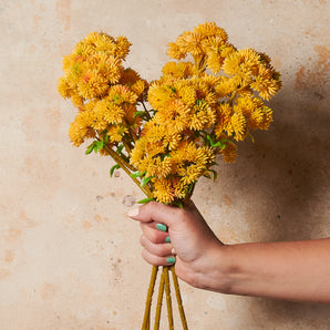 Sedum Spray Real Touch Flower Stem