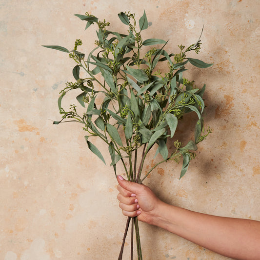 Eucalyptus Seed Leaf Real Touch Stem