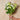 Snowball Spray Real Touch Flower Stem