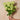 Snowball Spray Real Touch Flower Stem