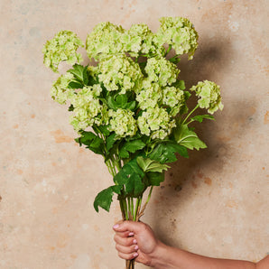 Snowball Spray Real Touch Flower Stem
