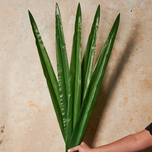 Sword Leaf Real Touch Flower Stem