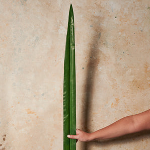 Sword Leaf Real Touch Flower Stem