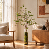 Sylvie Enki Plant